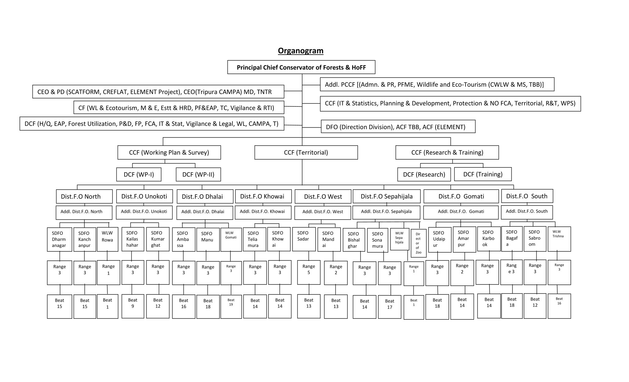 Organogram